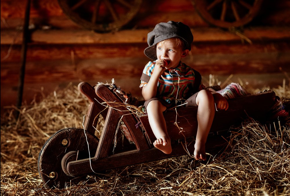 Сбор урожая