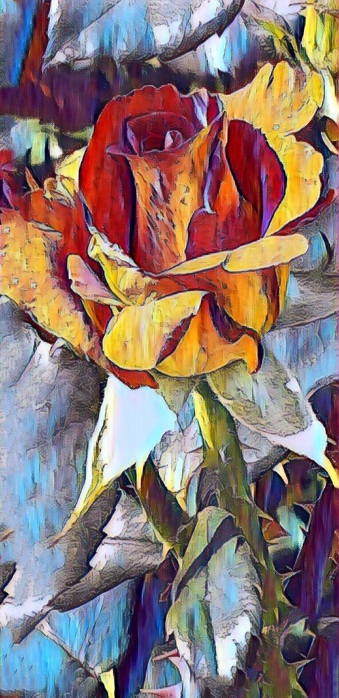 Роза с шипами