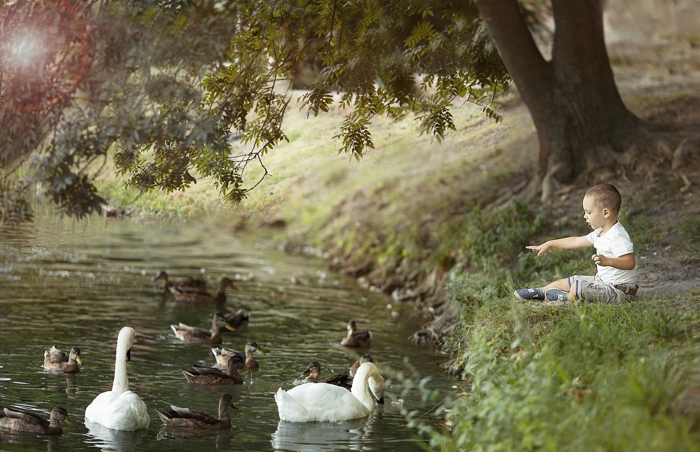 Гуси-Лебеди