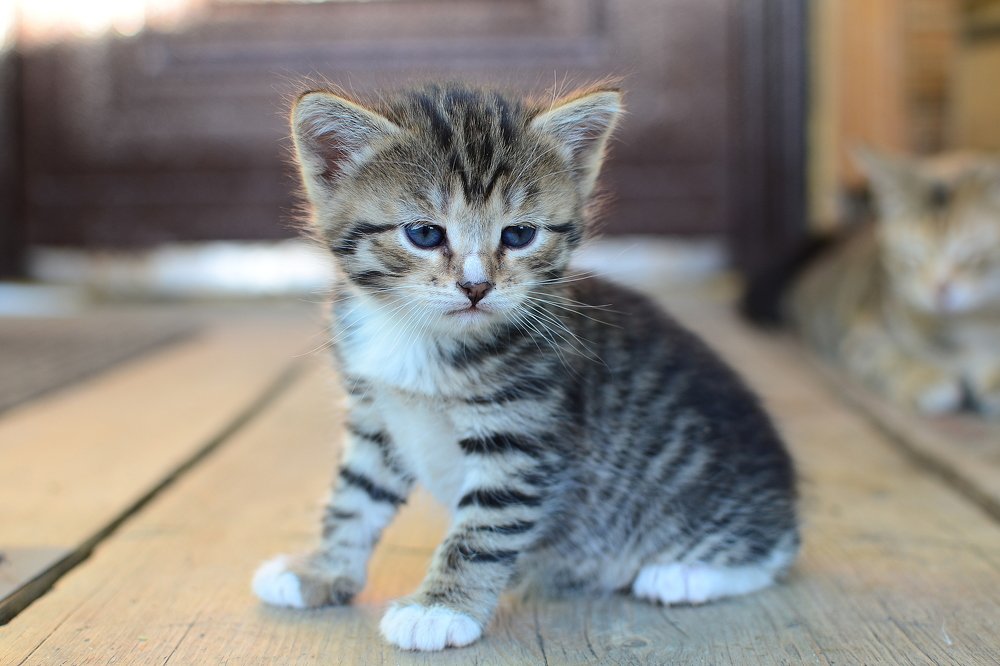 Photograph by Олег Титкин