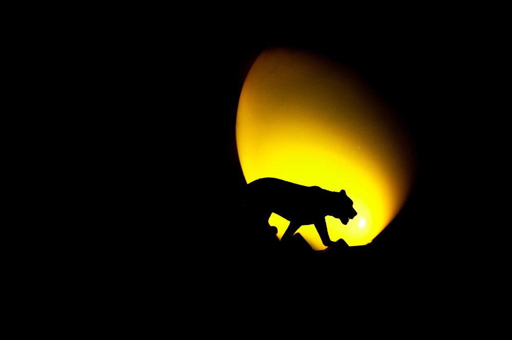 Источник жизни