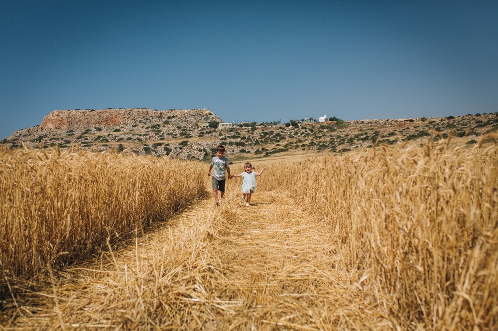  The yellow field