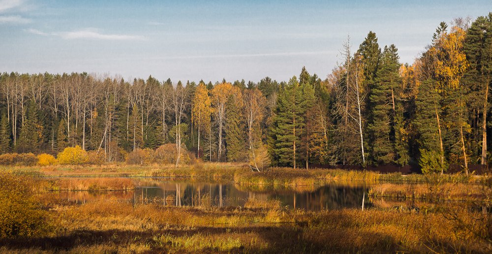 Photograph by Алена Ерошкина