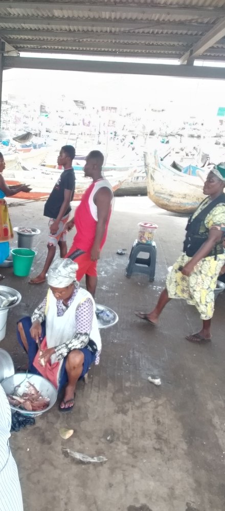 Fish Market