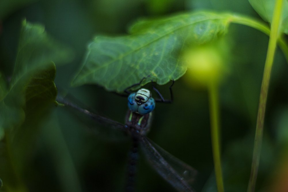 Photograph by Мария