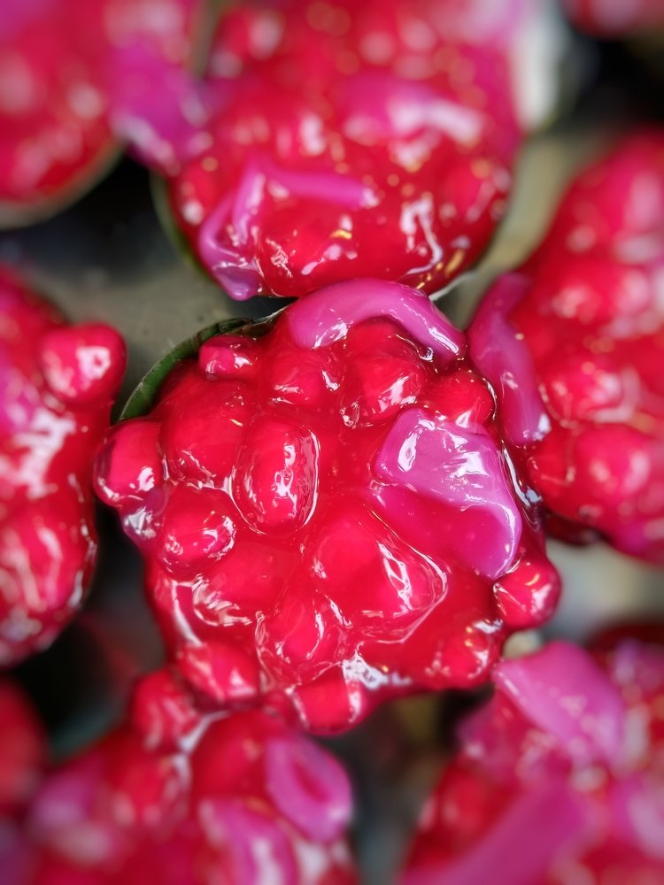 Eye-catching Thai Puddings