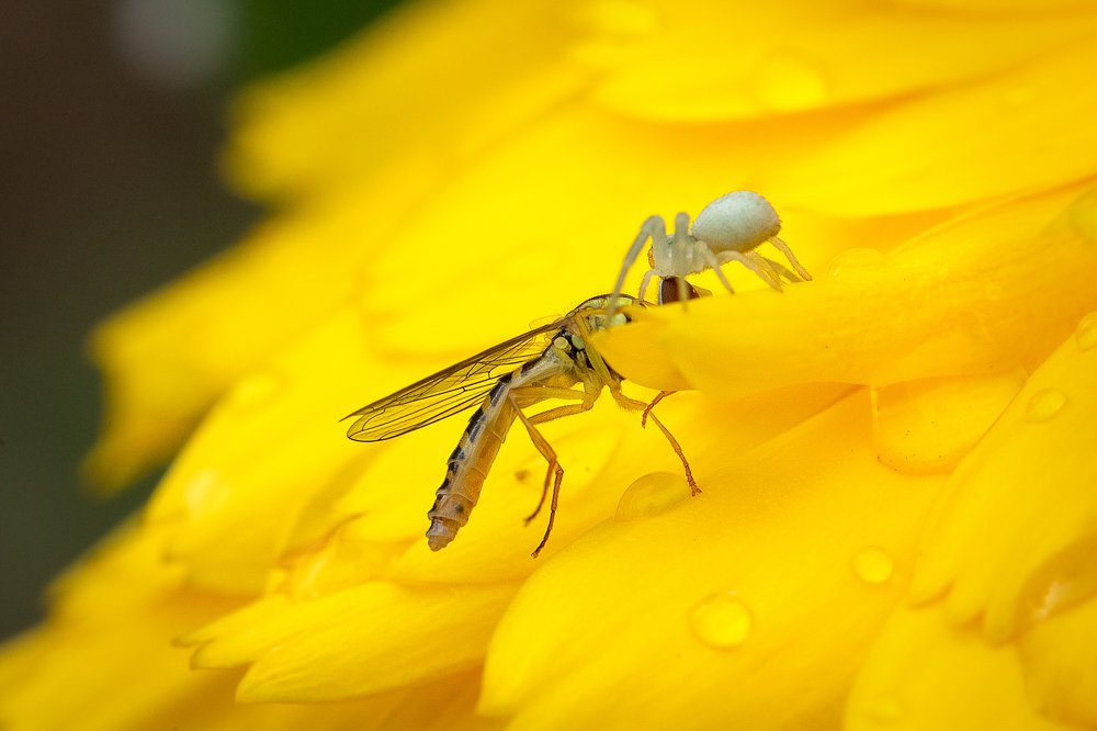Фотография автора Зоя Галимова