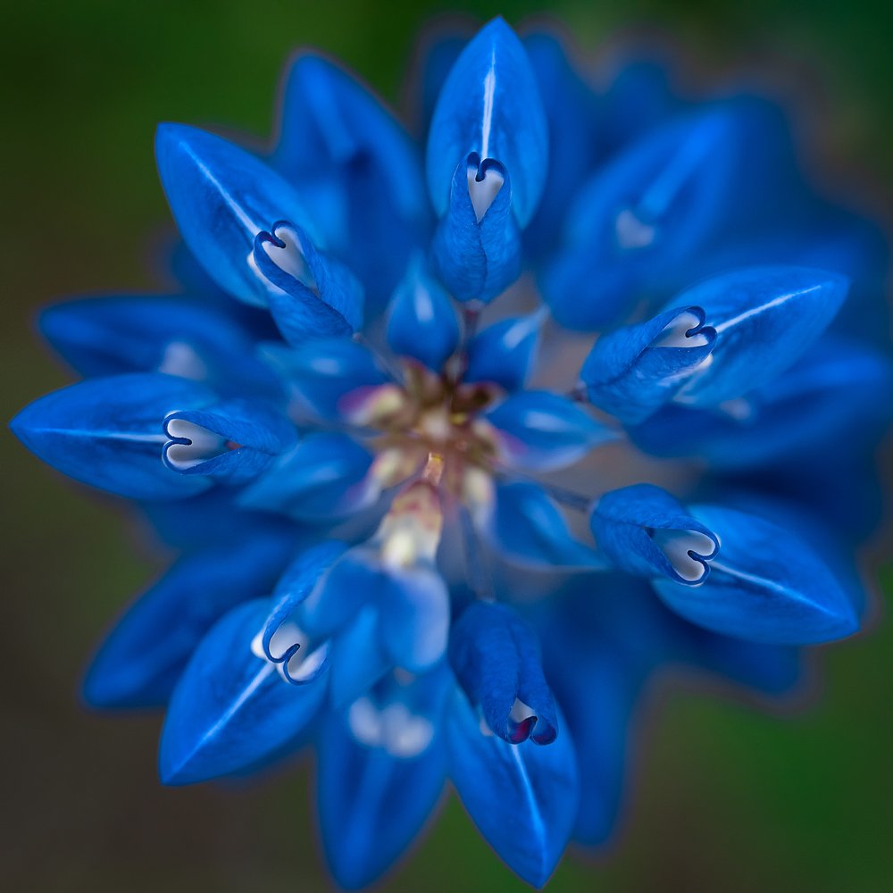 Фотография автора Зоя Галимова