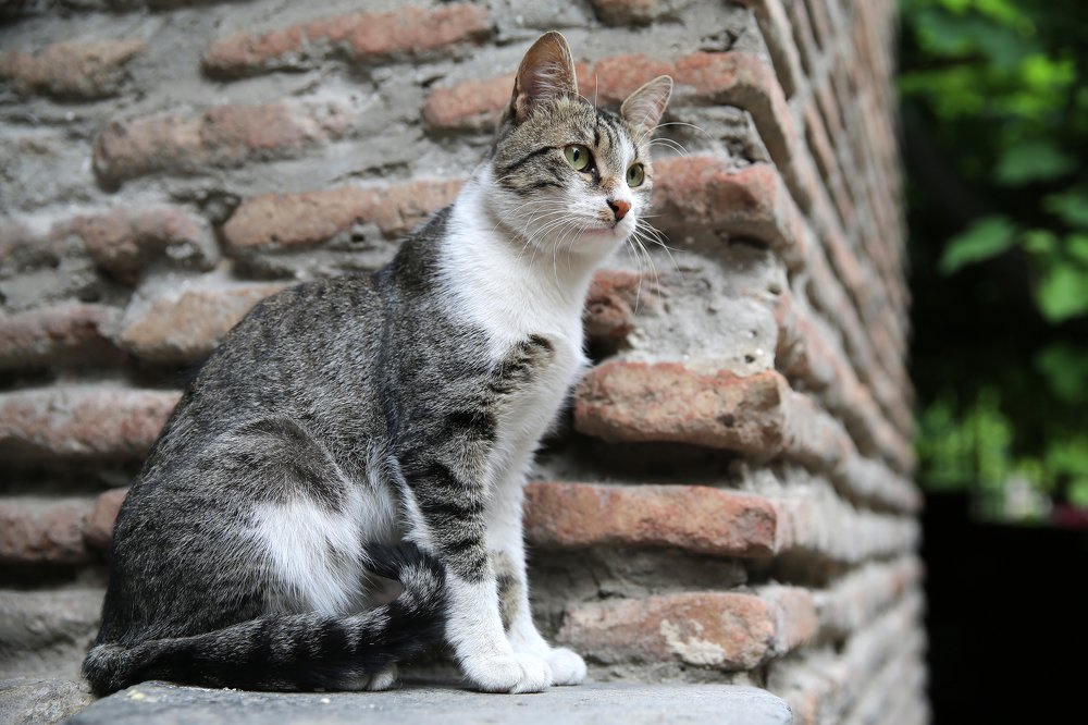 Photograph by Александр Цабель