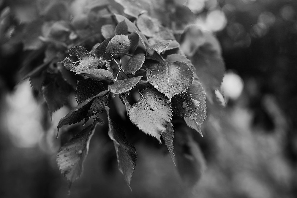 Сестрички,детство,дождик