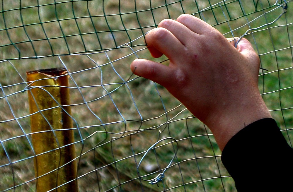 Photograph by علي الساعدي