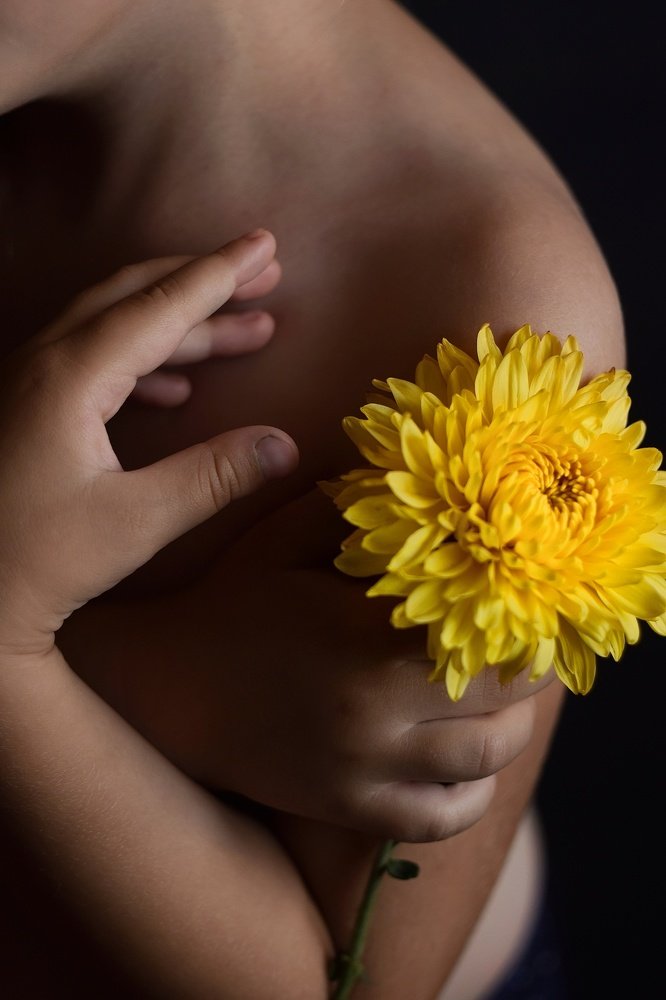 Хризантема