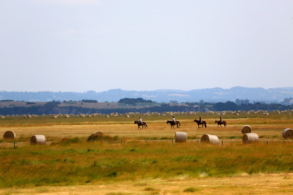 Photograph by Александр Цабель