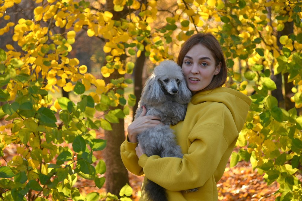 НЕЗНАКОМКА С СОБАЧКОЙ