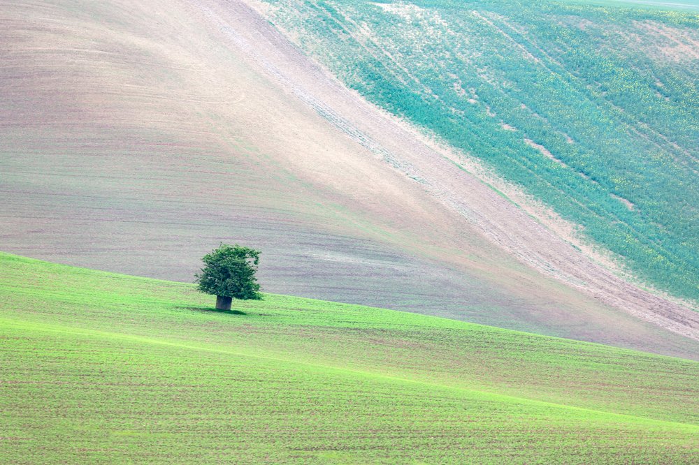 Весенние просторы