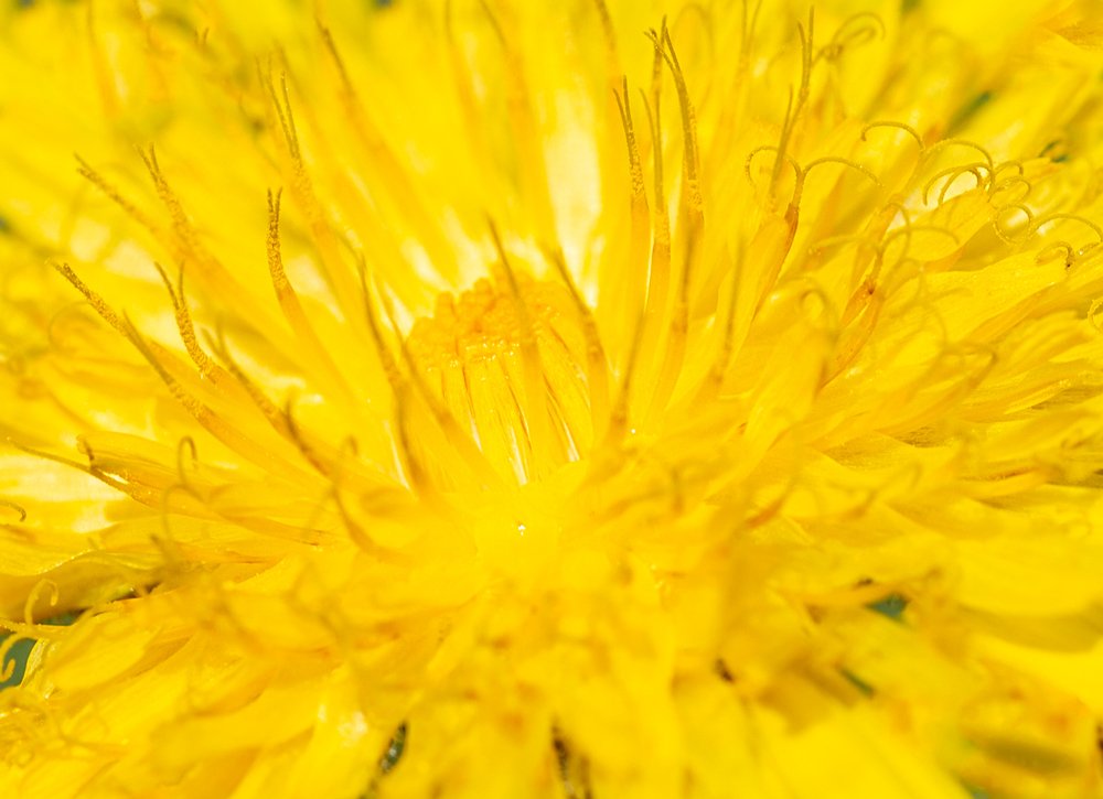 Желтый вихрь