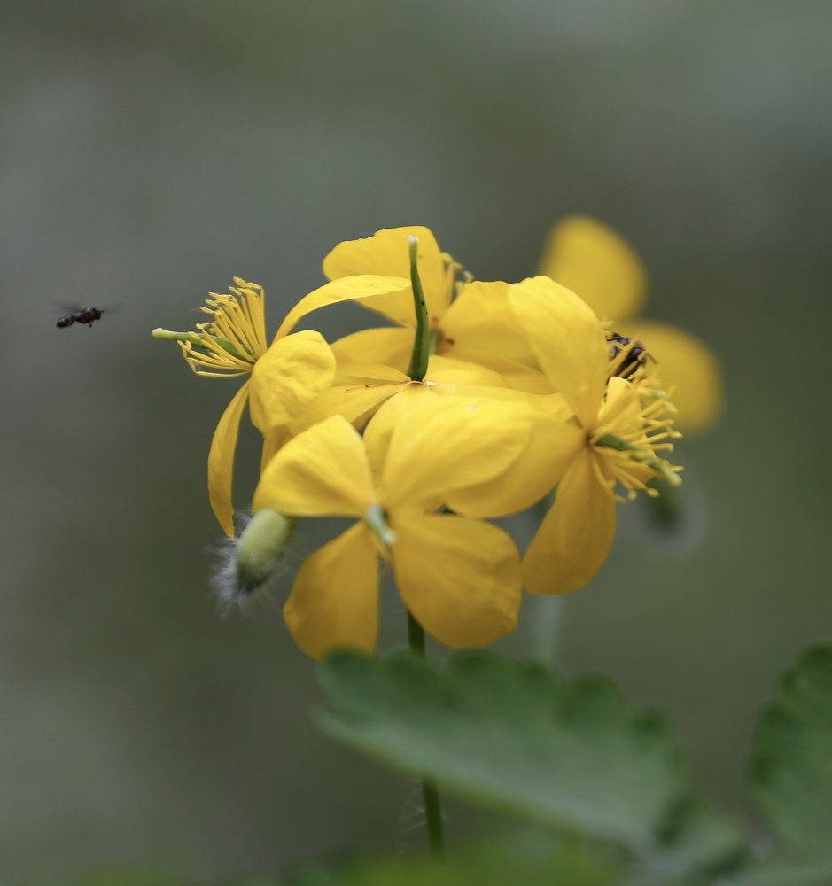 Photograph by  Михаил