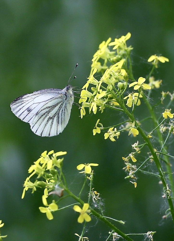 Photograph by  Михаил