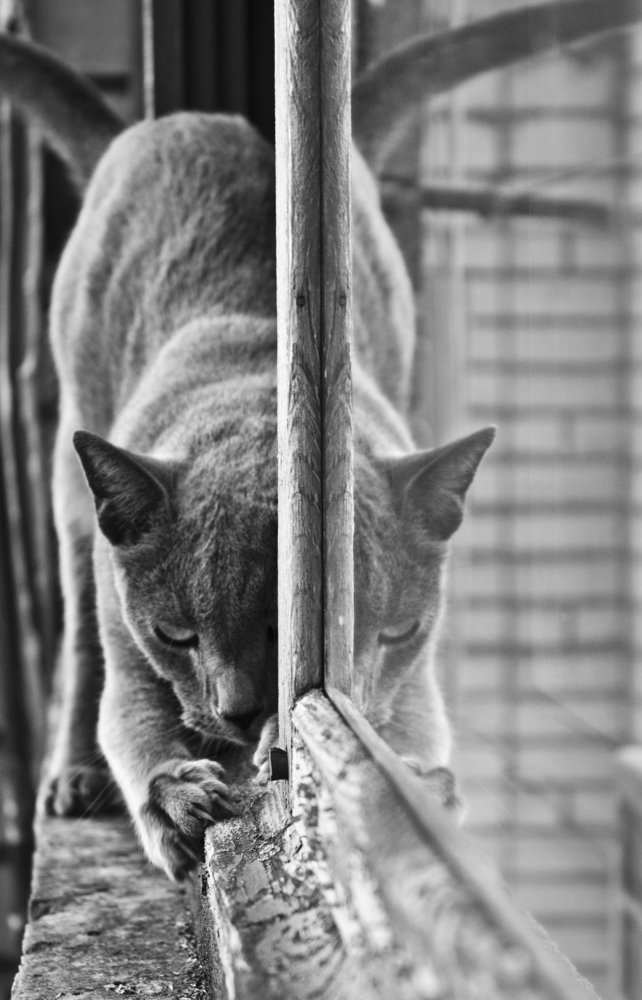 Photograph by Анна Быкова