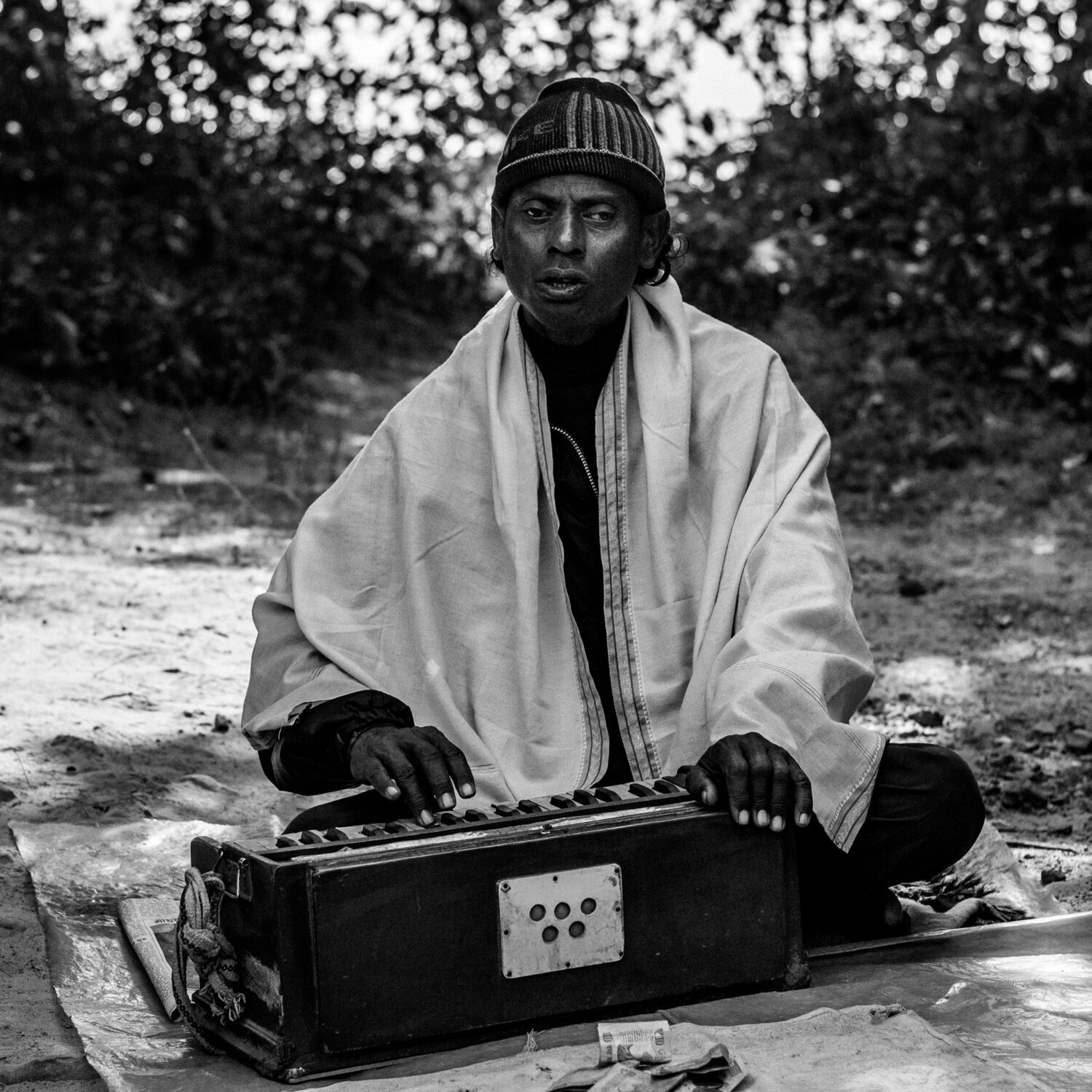 The lost melody