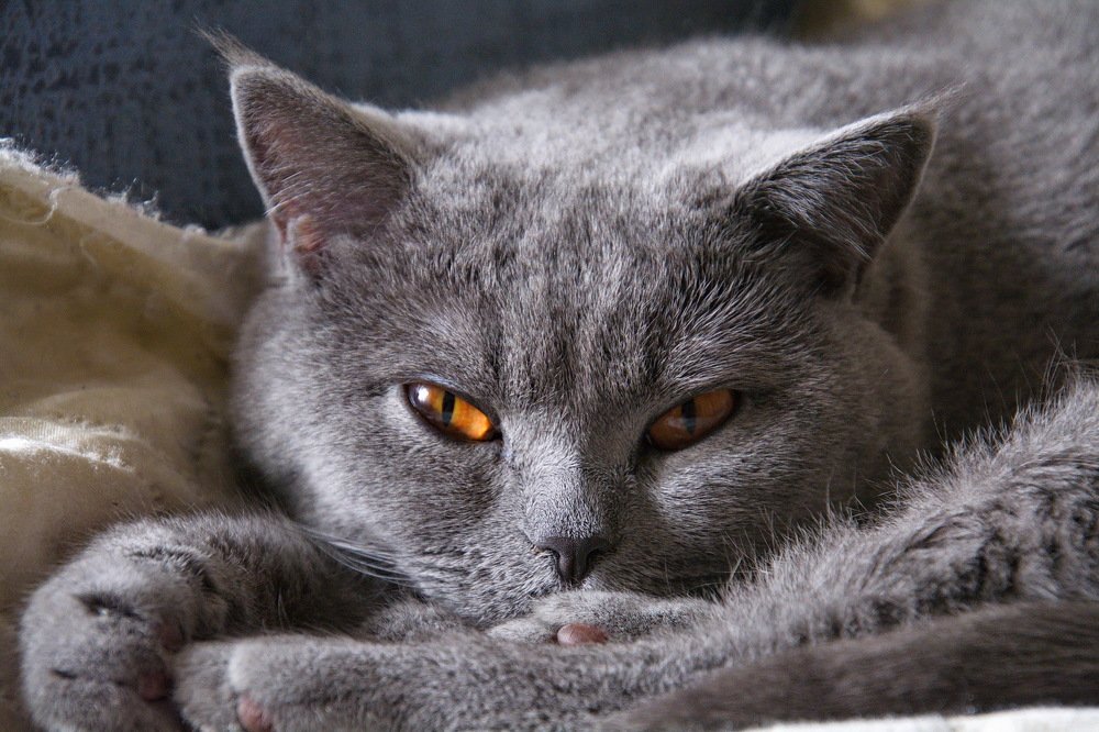 Не мешайте спать