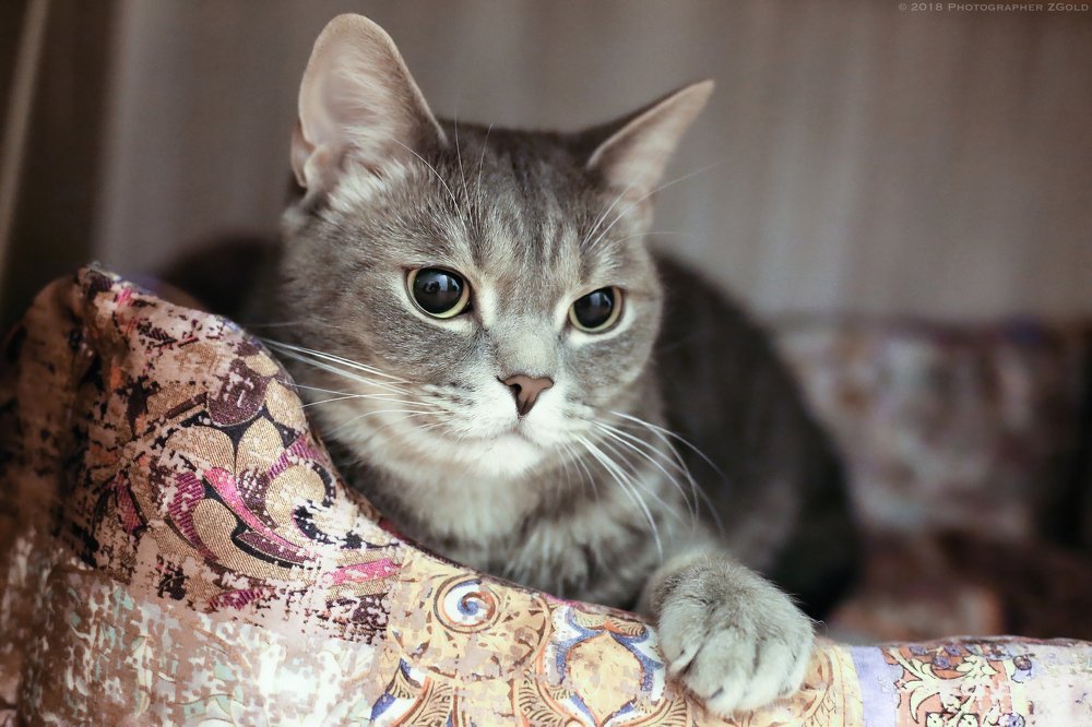 Photograph by Юрий Золотарев