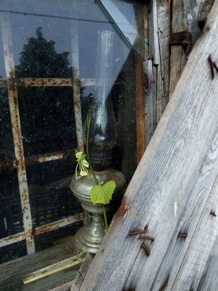 Невидимый свет