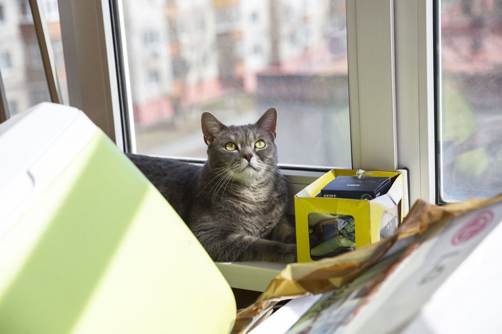 Photograph by Юрий Золотарев