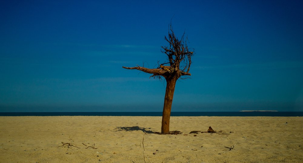 Природное направление