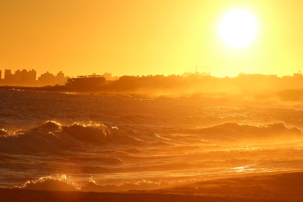 Photograph by Juan Pavlovsky