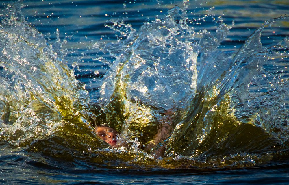 The colors of pleasure