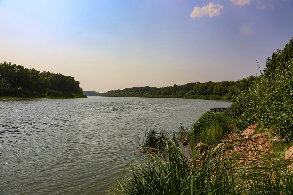 Взгляд в детство