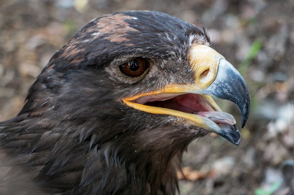 Photograph by Виталий