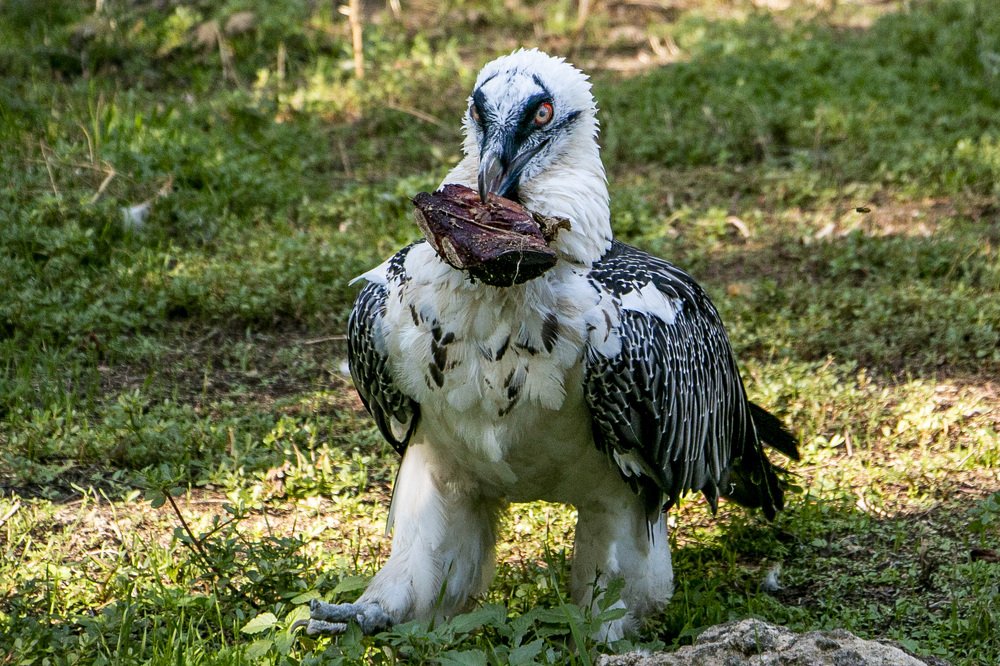 Photograph by Виталий