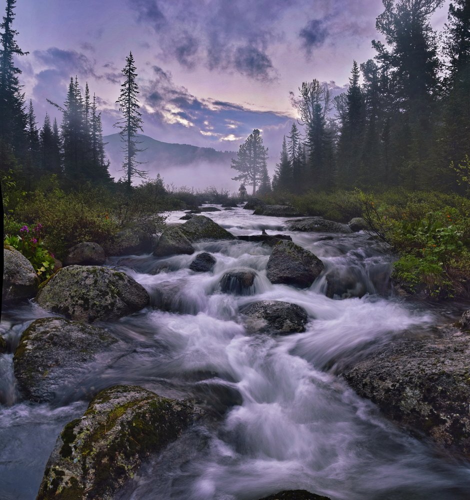 Лесной ручей