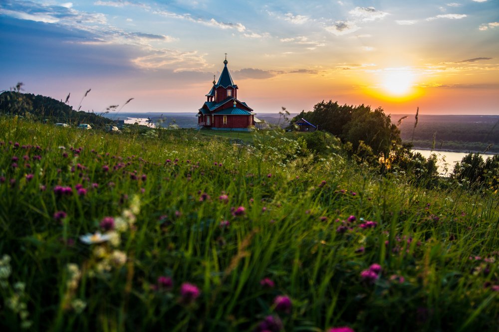 Северный цвет