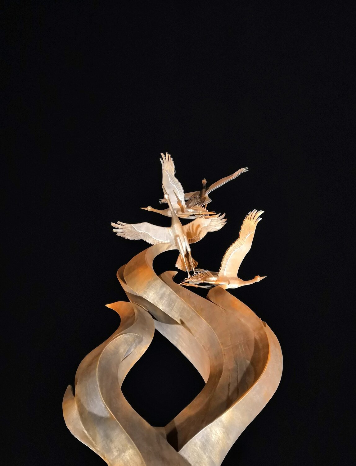 Photo #3490340