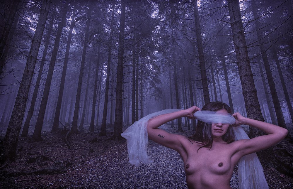 Lola en el Bosque