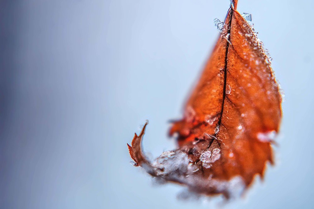 Зима близко