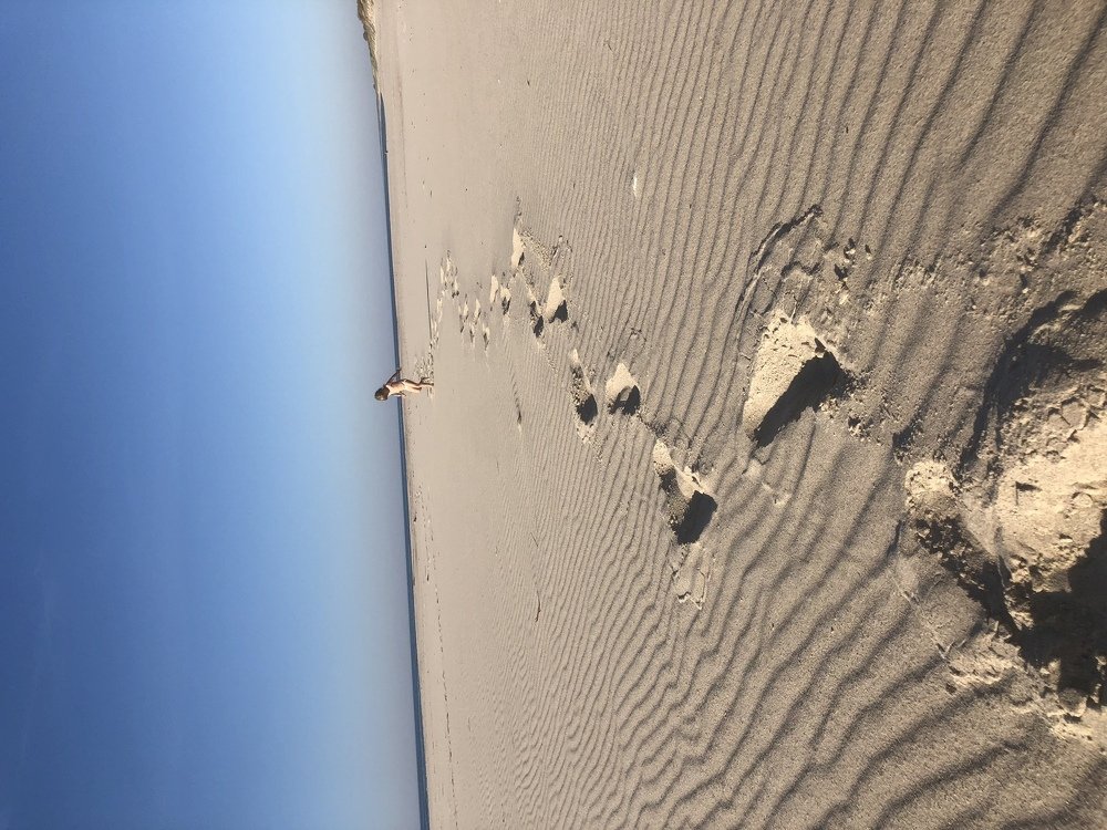 Долгая дорога в дюнах