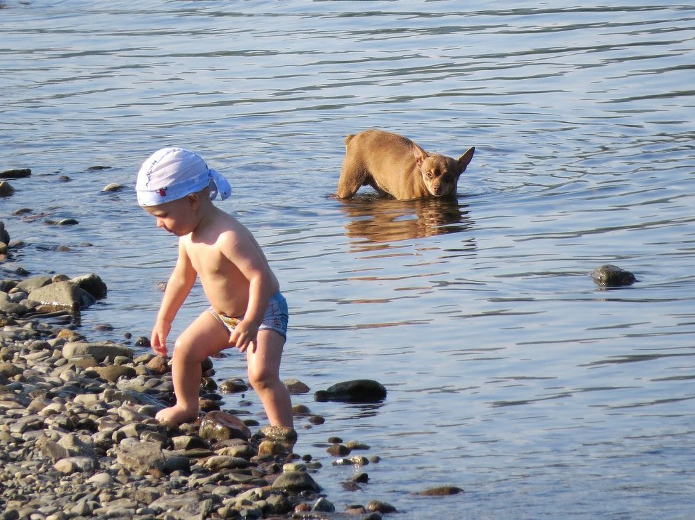 Photograph by Елена Лапина