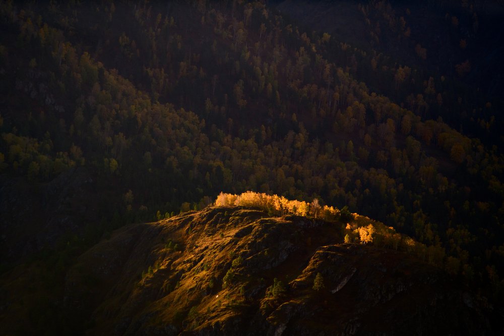 Photograph by Ольга Шацкая