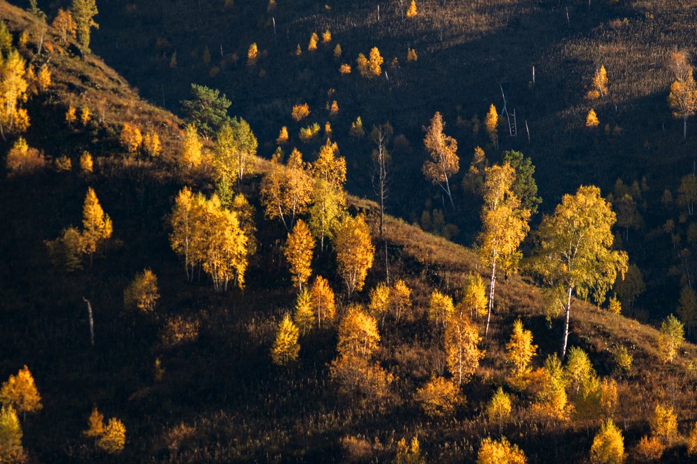 Photograph by Ольга Шацкая