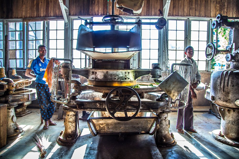 Kolukkumalai Tea Estate