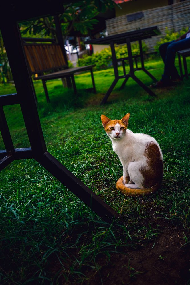 Photograph by Nikhil Mace