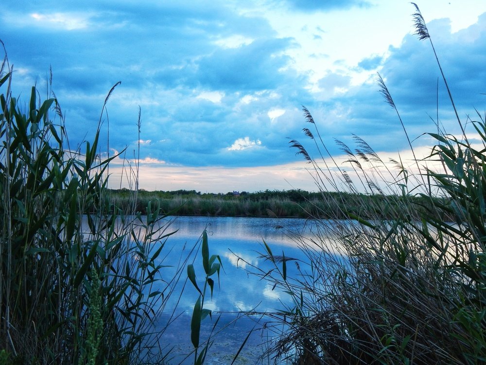 Озеро Лиман