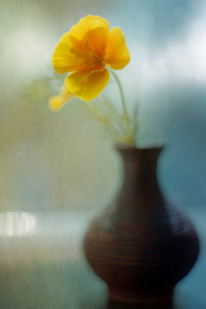 утро нежное