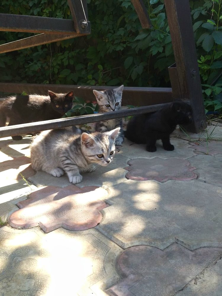 Банда бездельников