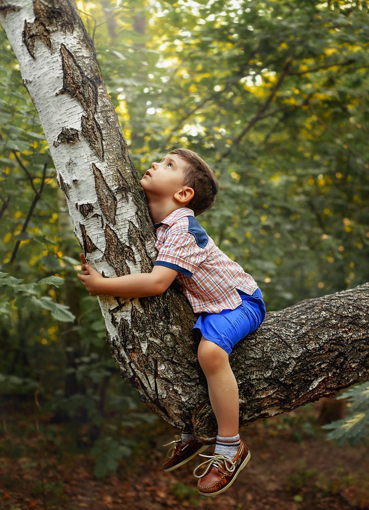 Фотография автора Юлия Сидоренко