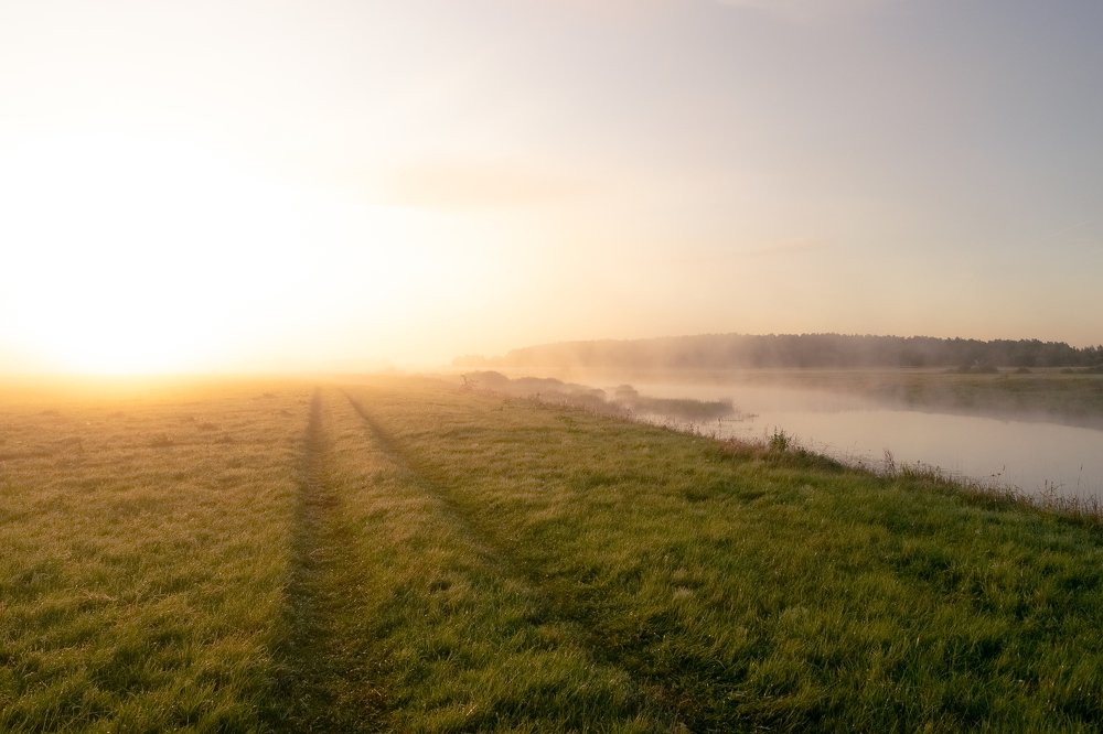 Солнце в тумане